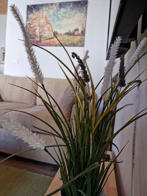 Gs Home Gythio Ngoại thất bức ảnh